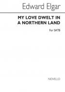 My Love Dwelt In A Northern Land 
