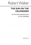 Sun On The Celandines 