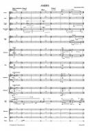 Amers for Solo-Cello and Large Ensemble 