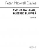 Ave Maria - Hail Blessed Flower 