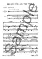 Phoenix and The Turtle 