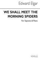 We Shall Meet The Morning Spiders 