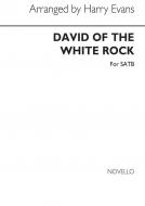 David of The White Rock 