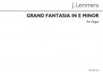 Grand Fantasia: The Storm In E Minor 