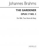 The Gardener 