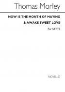 Now Is The Month Of Maying 