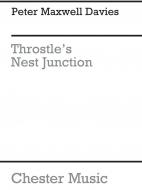 Throstle's Nest Junction 