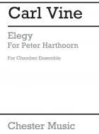Elegy for Peter Harthoorn 