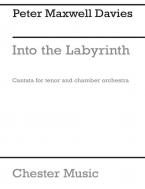 Into The Labyrinth 