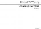 Concert Fantasia 