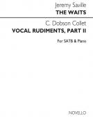 The Waits / Vocal Rudiments Part 2 