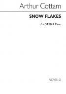 Snow-Flakes 