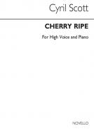 Cherry Ripe 