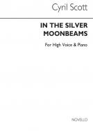 In The Silver Moonbeams 