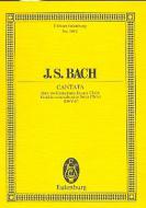 Kantate Nr. 67 (Dominica Quasimodogeniti) 