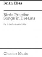 Birds Practise Songs In Dreams 