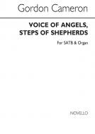 Voice Of Angels, Steps Of Shepherds 