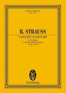 Concert Ouvertüre c-Moll o. Op. AV. 80 Standard