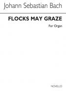 Flocks May Graze 