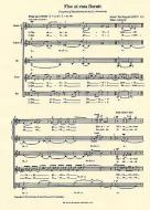 Flos Ut Rosa Floruit 