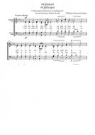 Pa Fjeldesti Op.11 No.4 