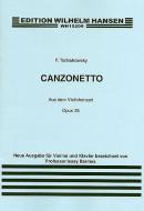Canzonetta from Violin Concerto In D Op. 35 
