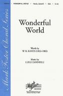 Wonderful World 