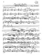 Musik Til Morten Op. 104 (1970) 