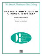 Fantasia And Fugue In C Minor BWV 537 