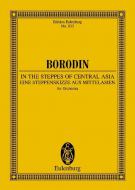 Eine Steppenskizze aus Mittelasien Standard