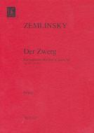 Der Zwerg 