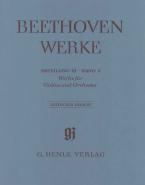 Werke für Violine und Orchester 