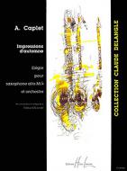 Impressions d'automne 