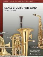 Scale Studies for Band 