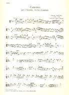 Concerto 