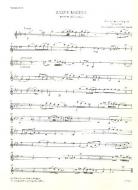 Salve Regina für Alt und Streichorchester 