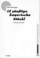 12 zünftige bayerische Stückl Standard