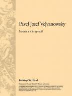 Sonata à 4 in g-moll 