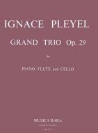 Grand Trio op. 29 