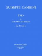 Trio Nr. 6 op. 45 