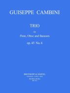 Trio Nr. 6 op. 45 