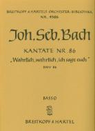 Wahrlich, wahrlich, ich sage euch 