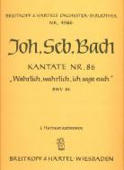 Wahrlich, wahrlich, ich sage euch 