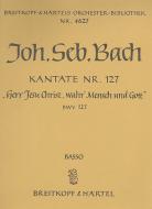 Herr Jesu Christ, wahr' Mensch und Gott 