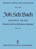 Ich glaube, lieber Herr, hilf meinem Unglauben 