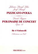 Pizzicato-Polka - Polonaise de Concert 