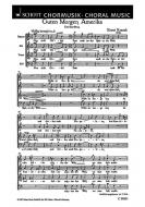 Guten Morgen, Amerika Standard