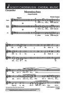 Meeresleuchten Standard