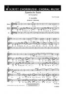 Spanische Suite Nr. 2 & Nr. 3 Standard