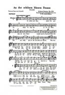 An der schönen blauen Donau op. 314 